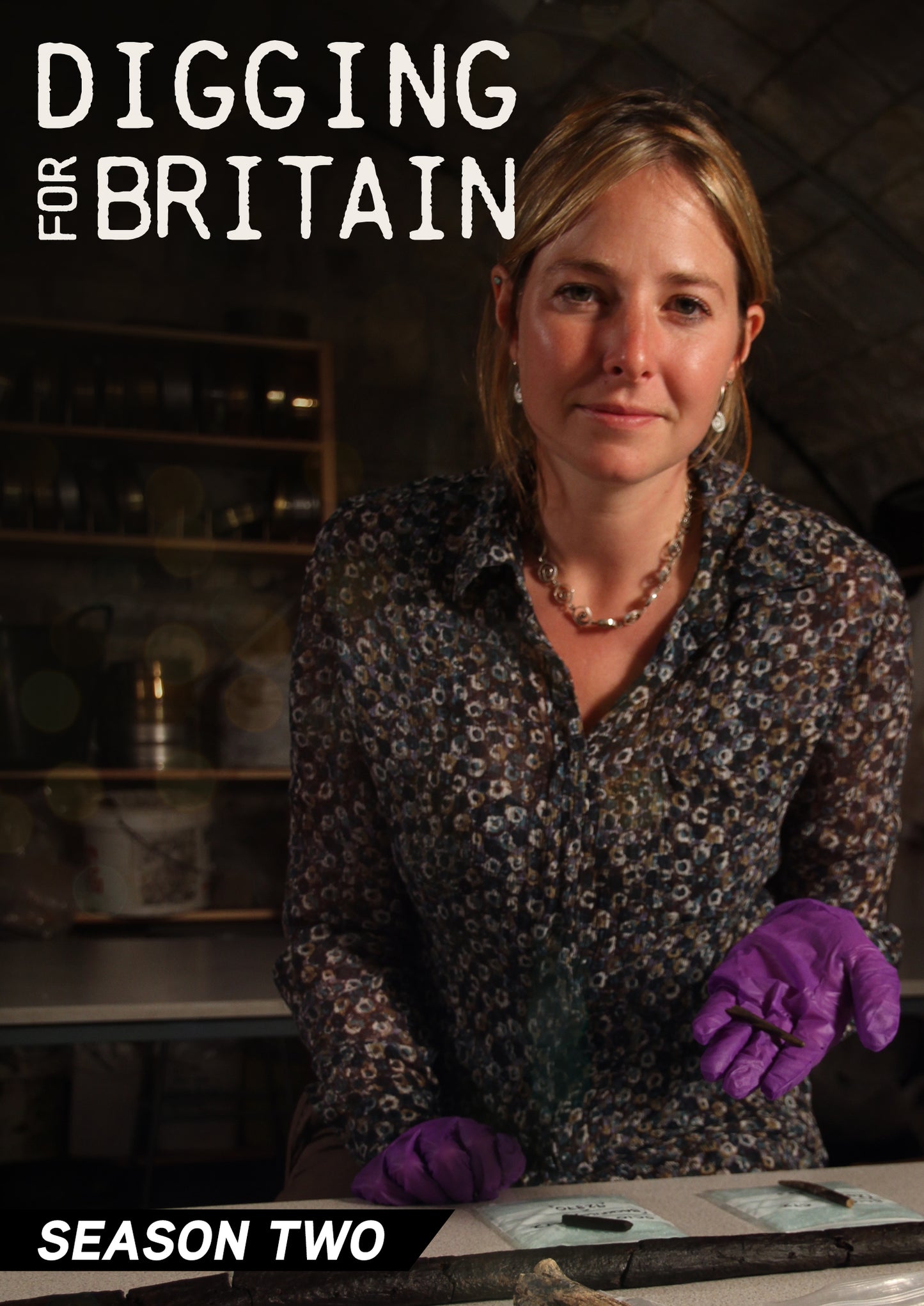 Digging For Britain: Season 2 (DVD)