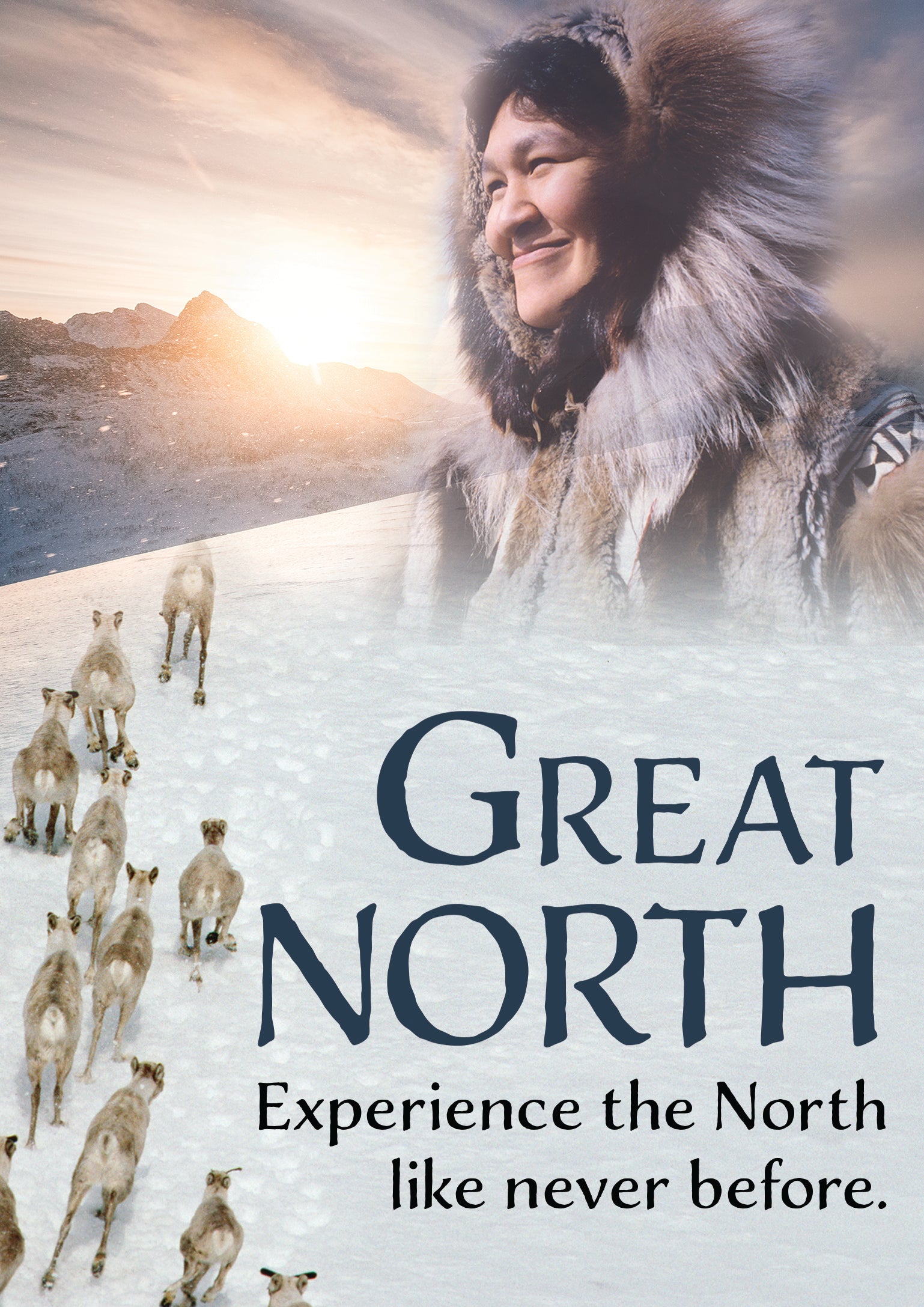 Great North (DVD)