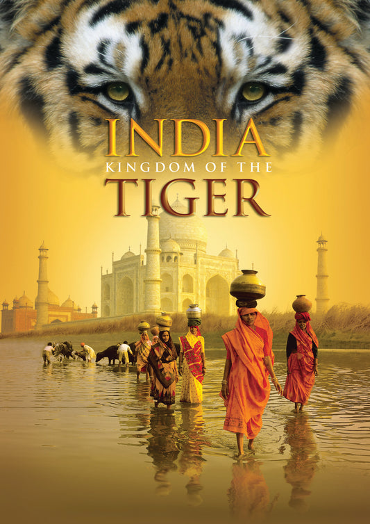 India: Kingdom Of The Tiger (DVD)