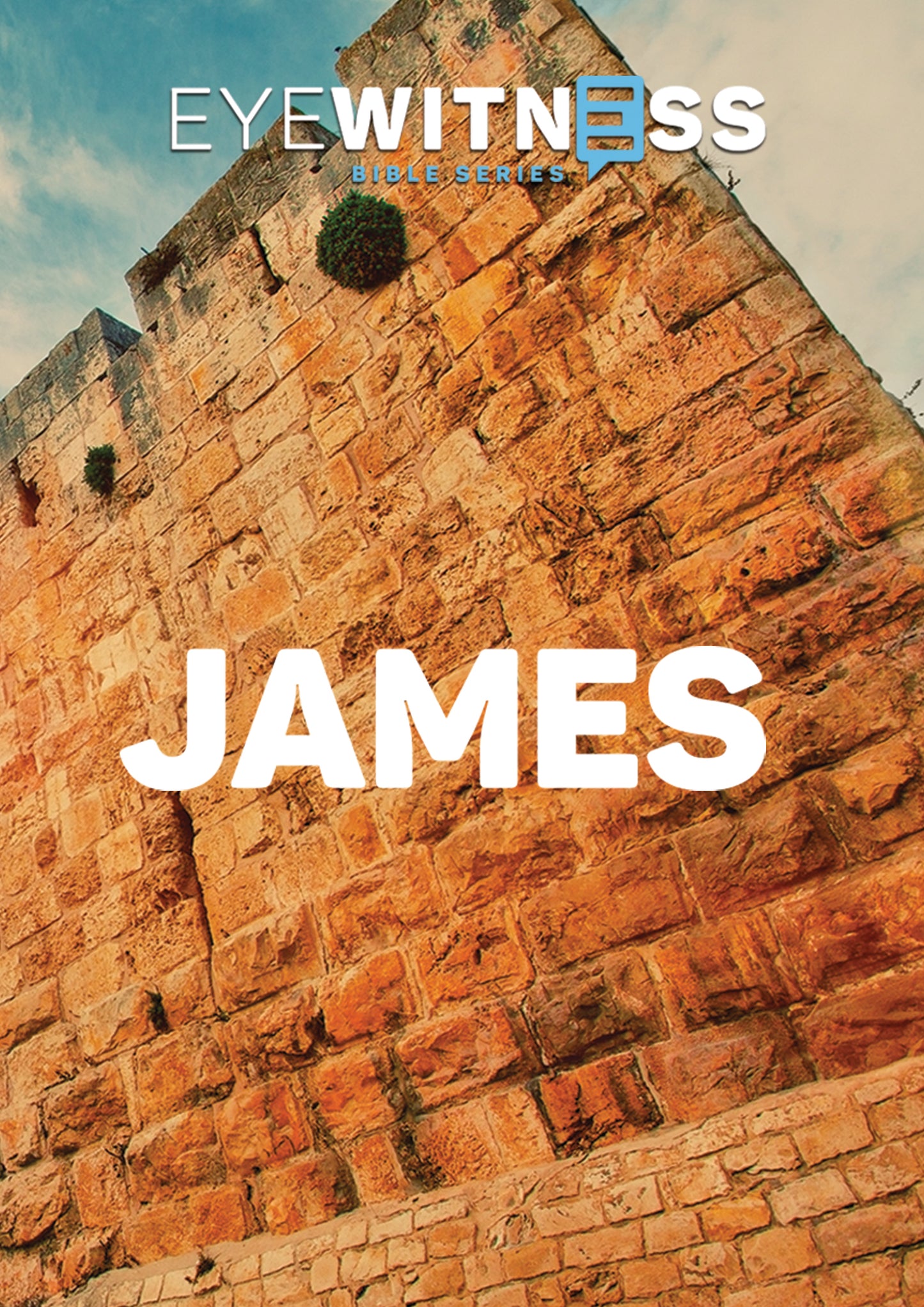 Eyewitness Bible Series: James (DVD)