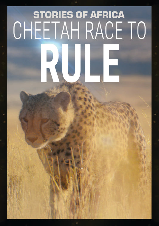 Stories Of Africa: Cheetah Race To Rule (DVD)