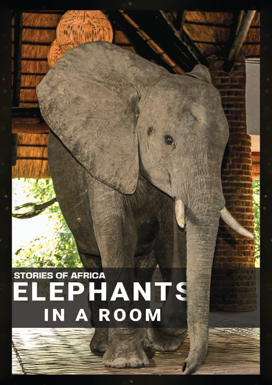 Stories Of Africa: Elephants In The Room (DVD)