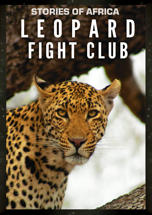 Stories Of Africa: Leopard Fight Club (DVD)