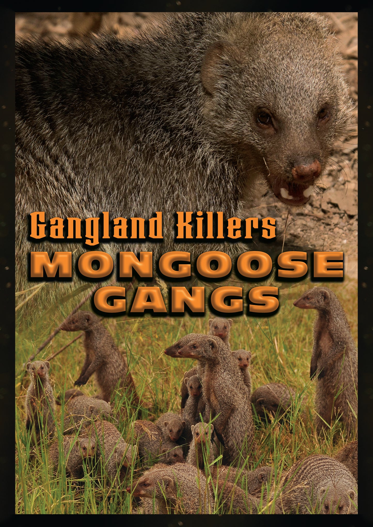 Gangland Killers: Mongoose Gangs (DVD)