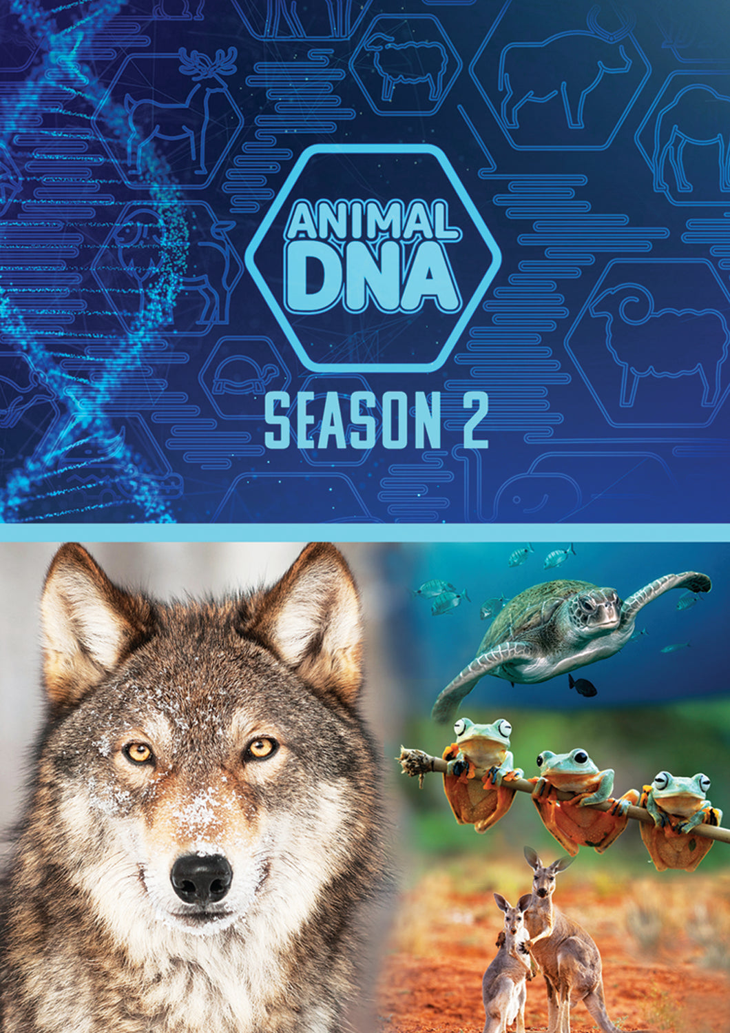 Animal DNA: Season Two (DVD)