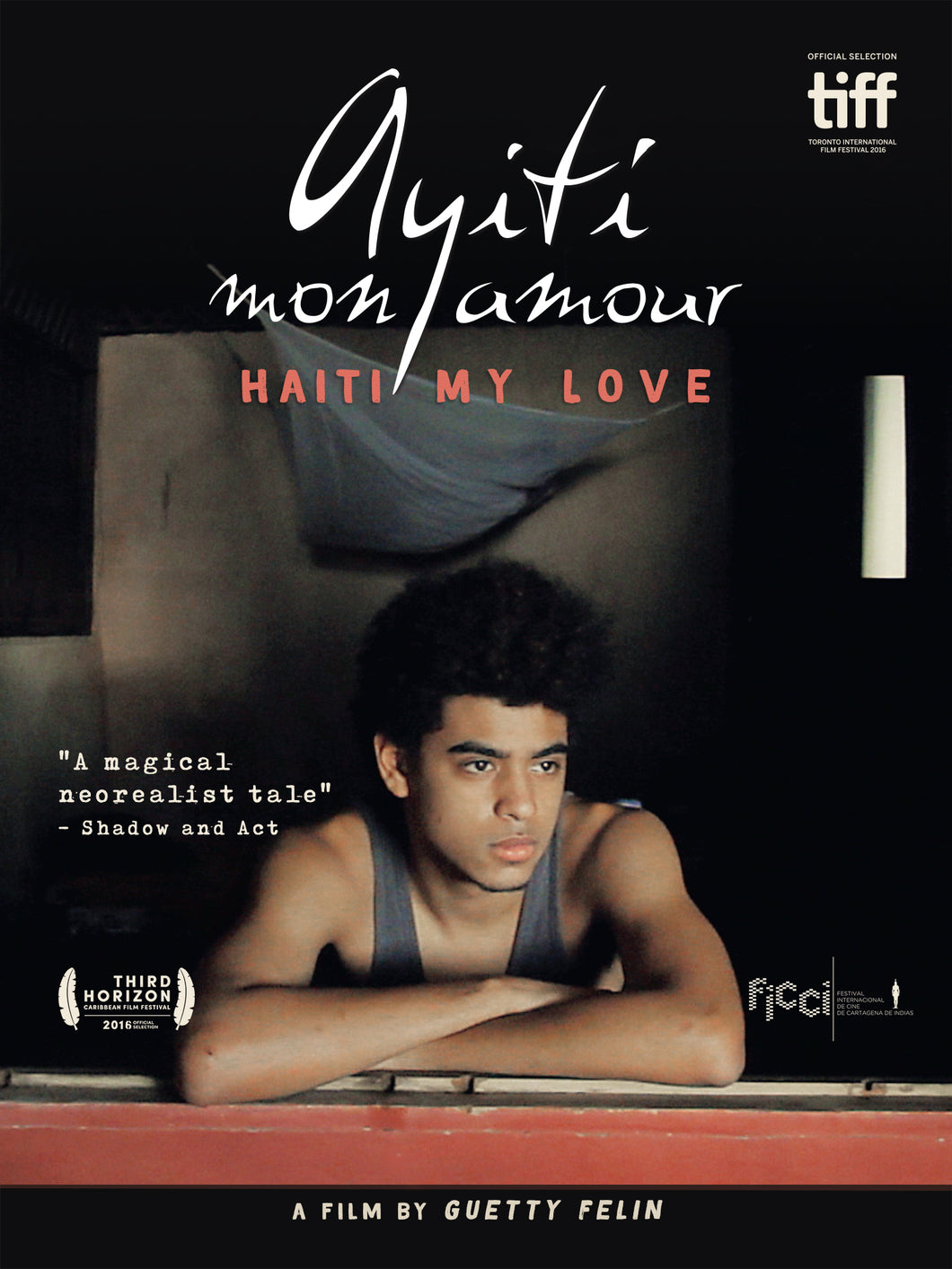 Ayiti Mon Amour (DVD)