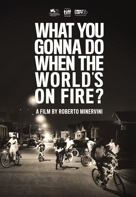 What You Gonna Do When the World's On Fire? (DVD)