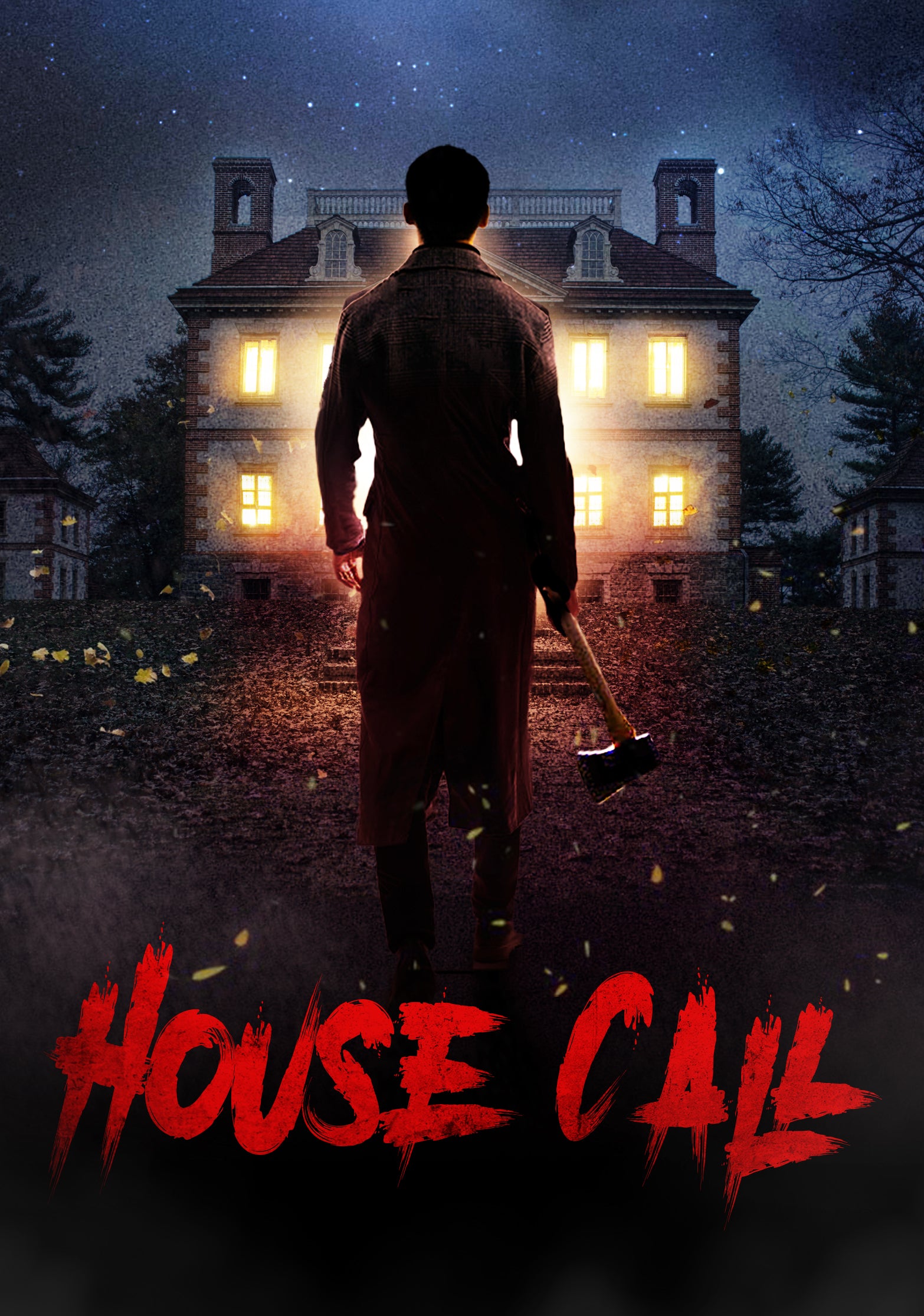 House Call (DVD)