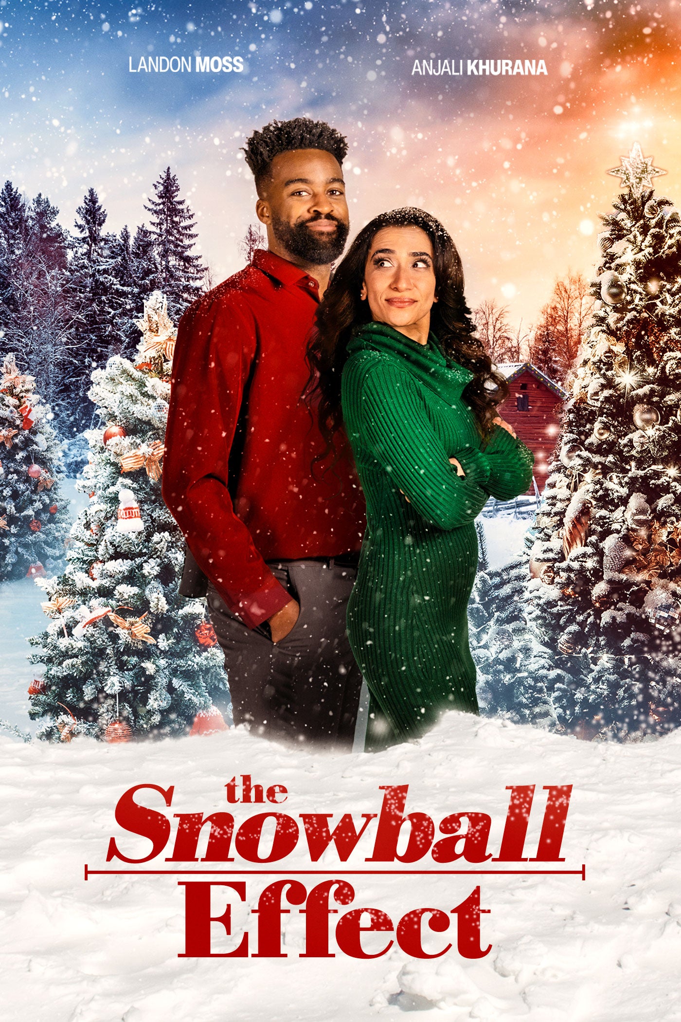 The Snowball Effect (DVD)