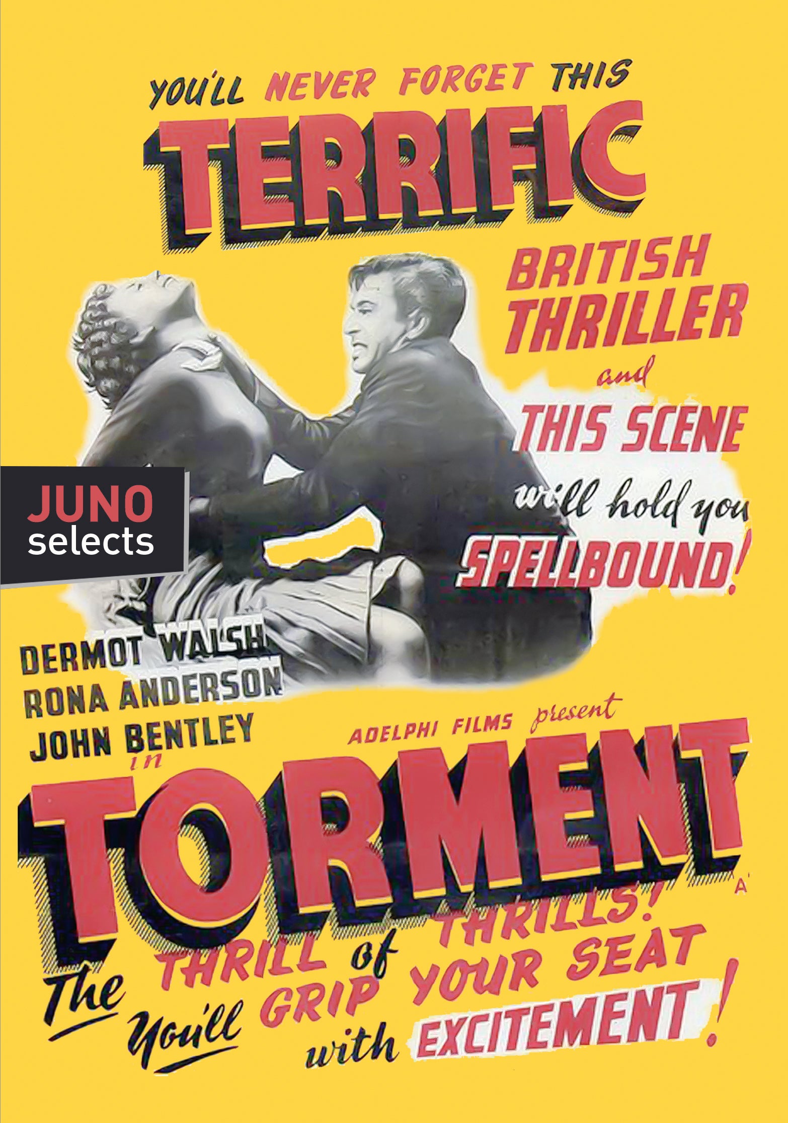 Torment (DVD)