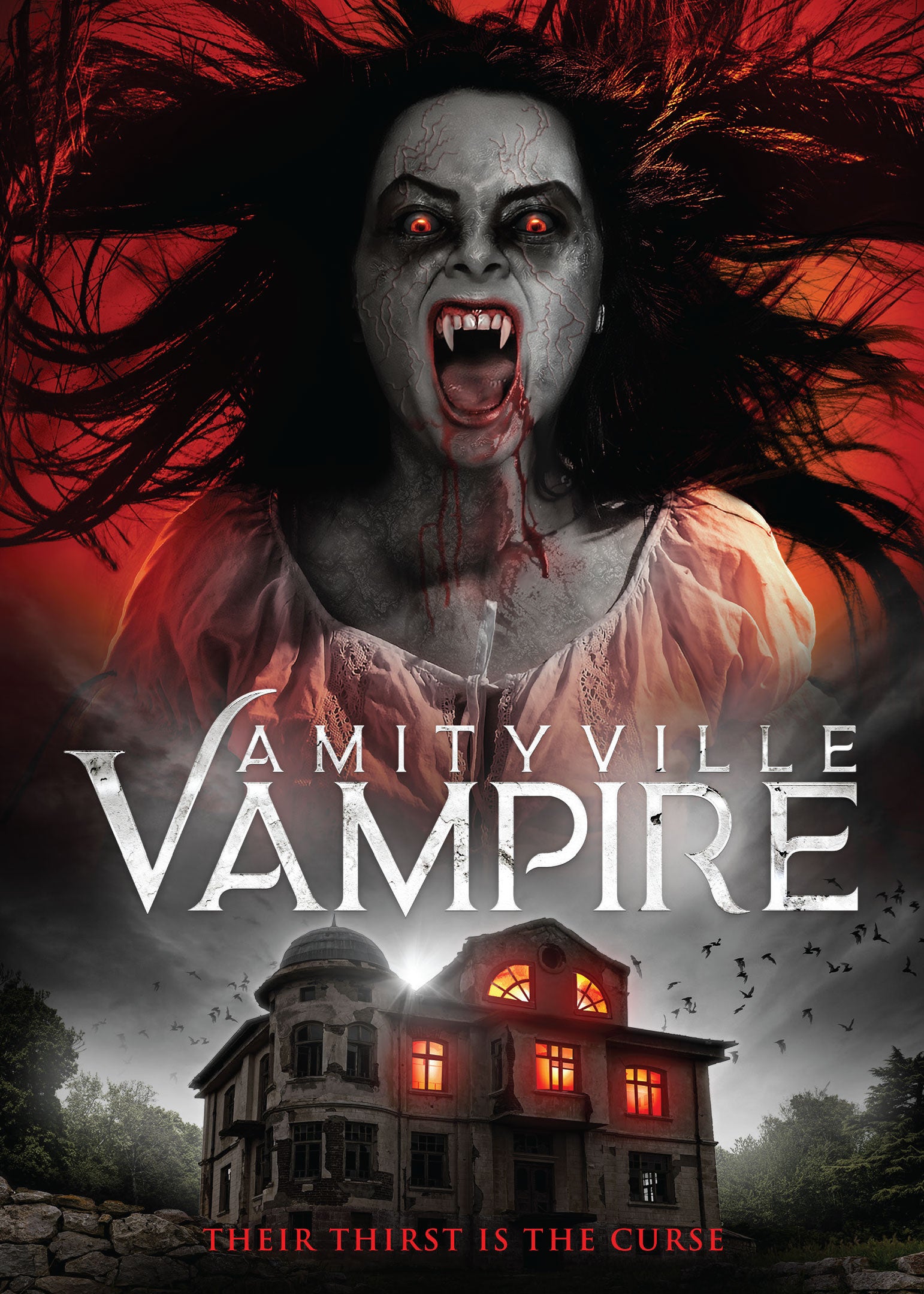 Amityville Vampire (DVD)