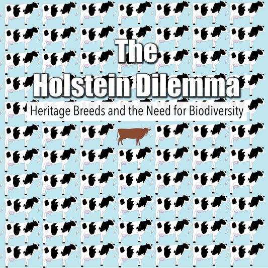 The Holstein Dilemma (DVD)