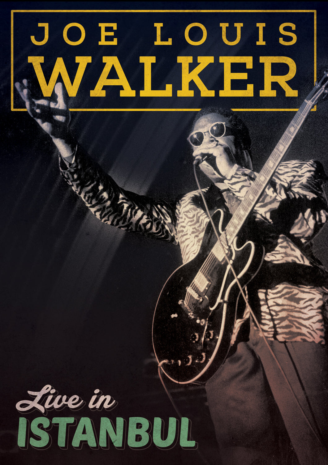 Joe Louis Walker - Live In Istanbul (DVD)