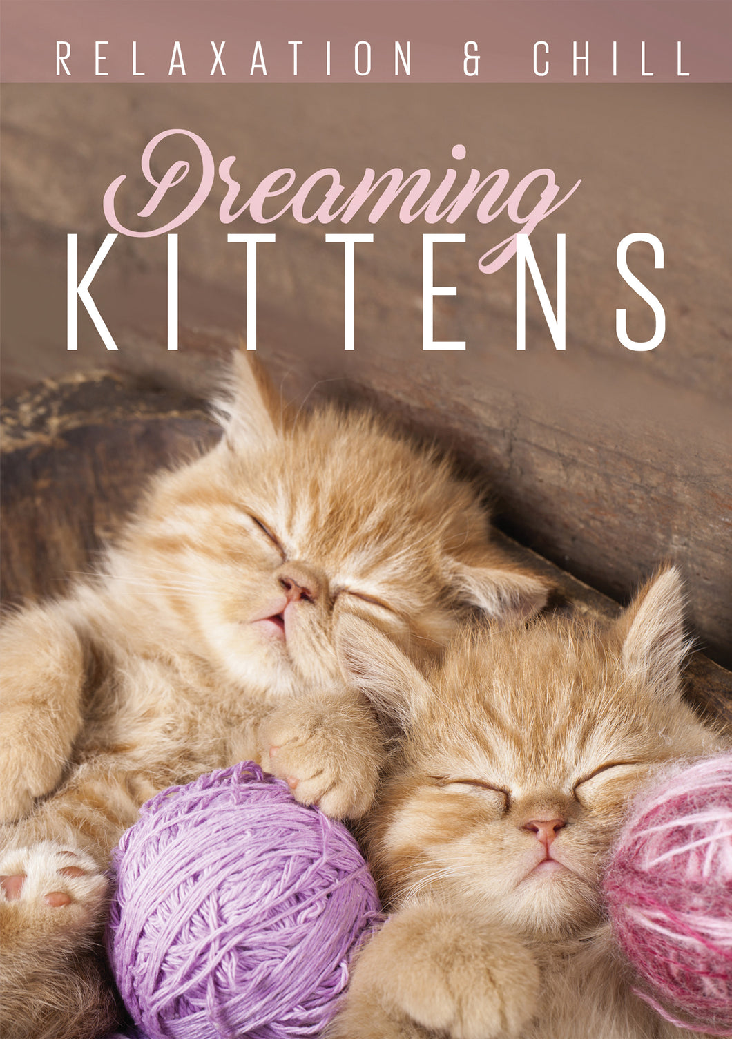 Relax: Dreaming Kittens (DVD)