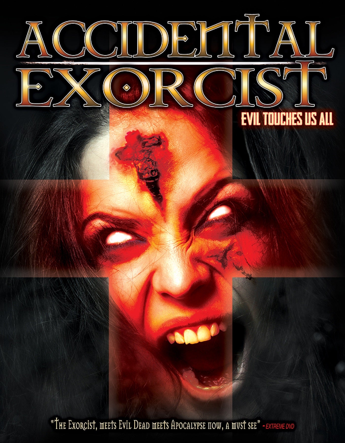 Accidental Exorcist (DVD)