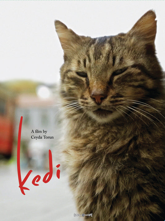 Kedi (DVD)