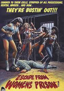 Escape From Women's Prison (DVD)