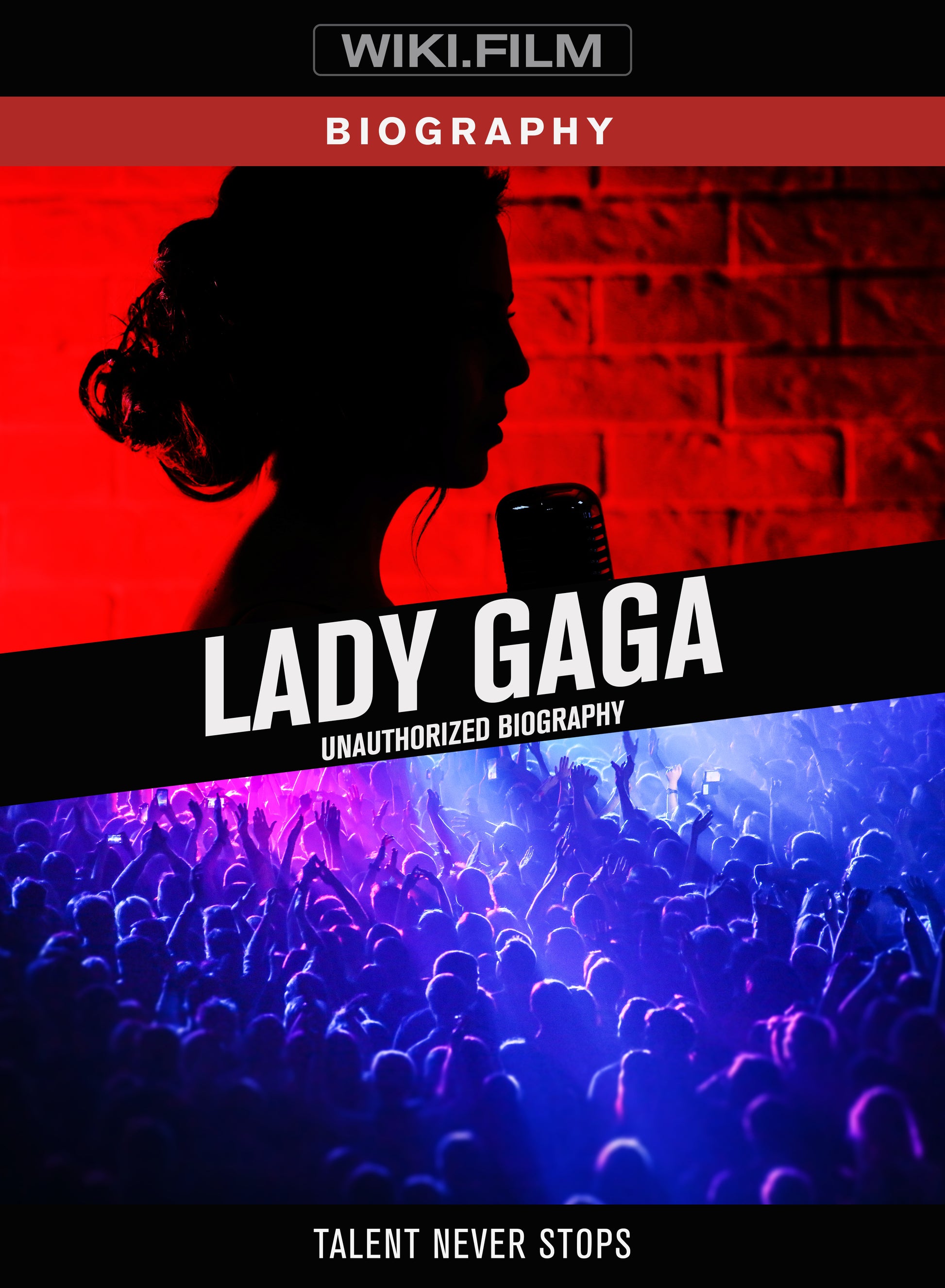 Lady Gaga - Lady Gaga: Unauthorized Biography (DVD)