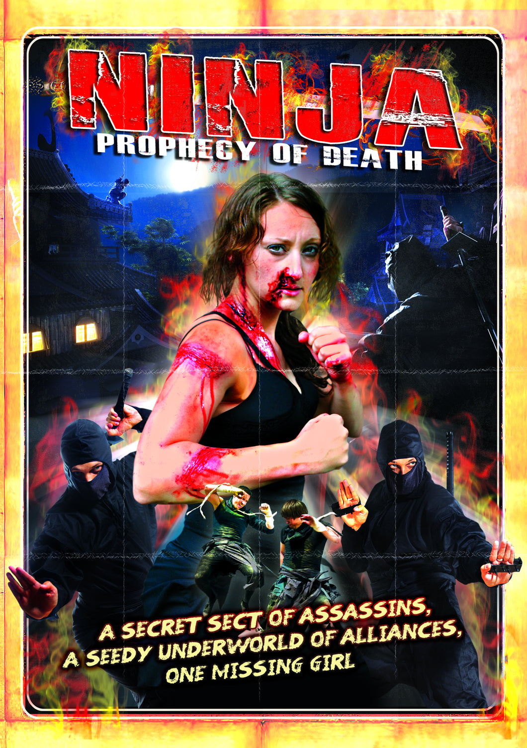 Ninja: Prophecy Of Death (DVD)