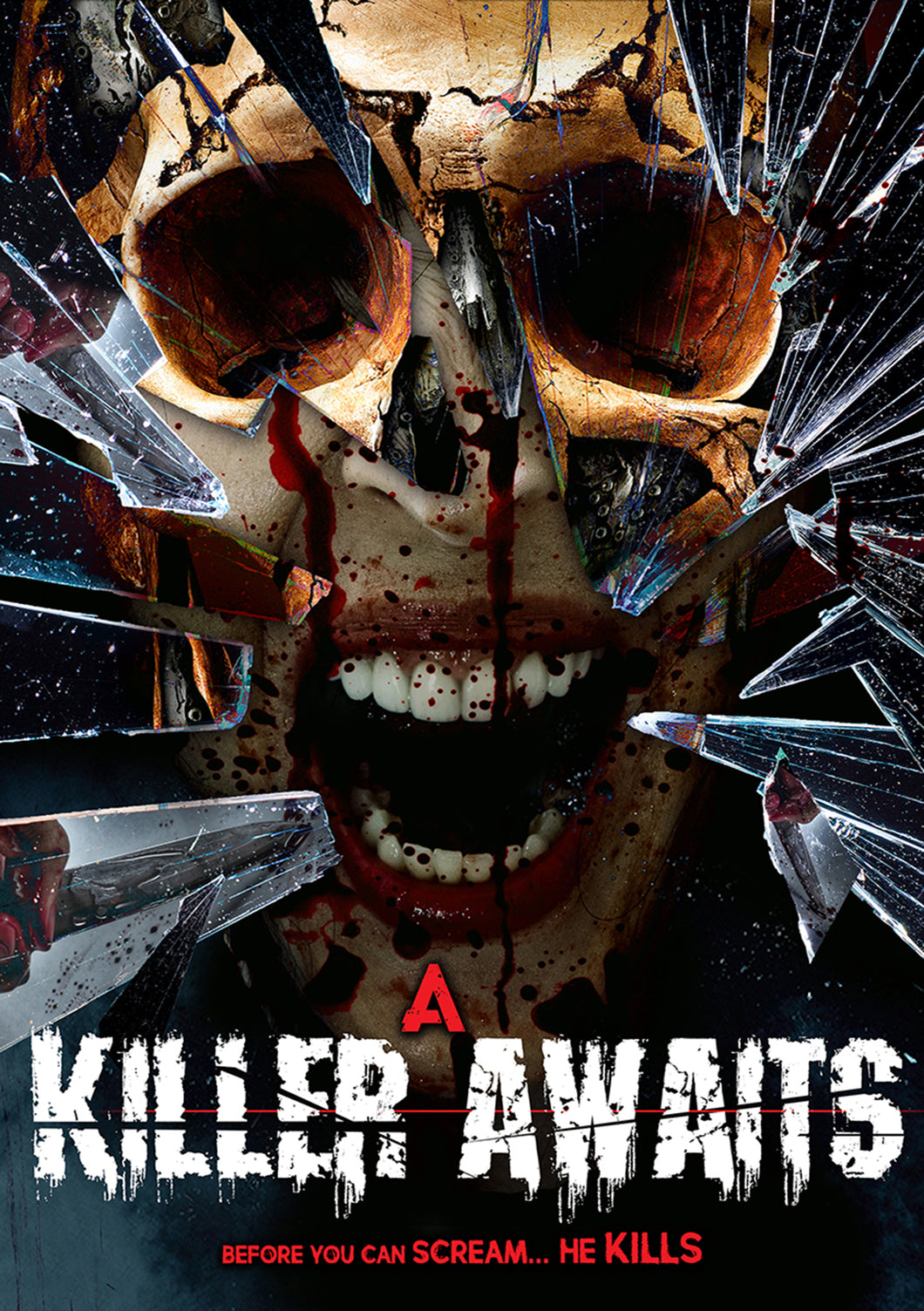 A Killer Awaits (DVD)